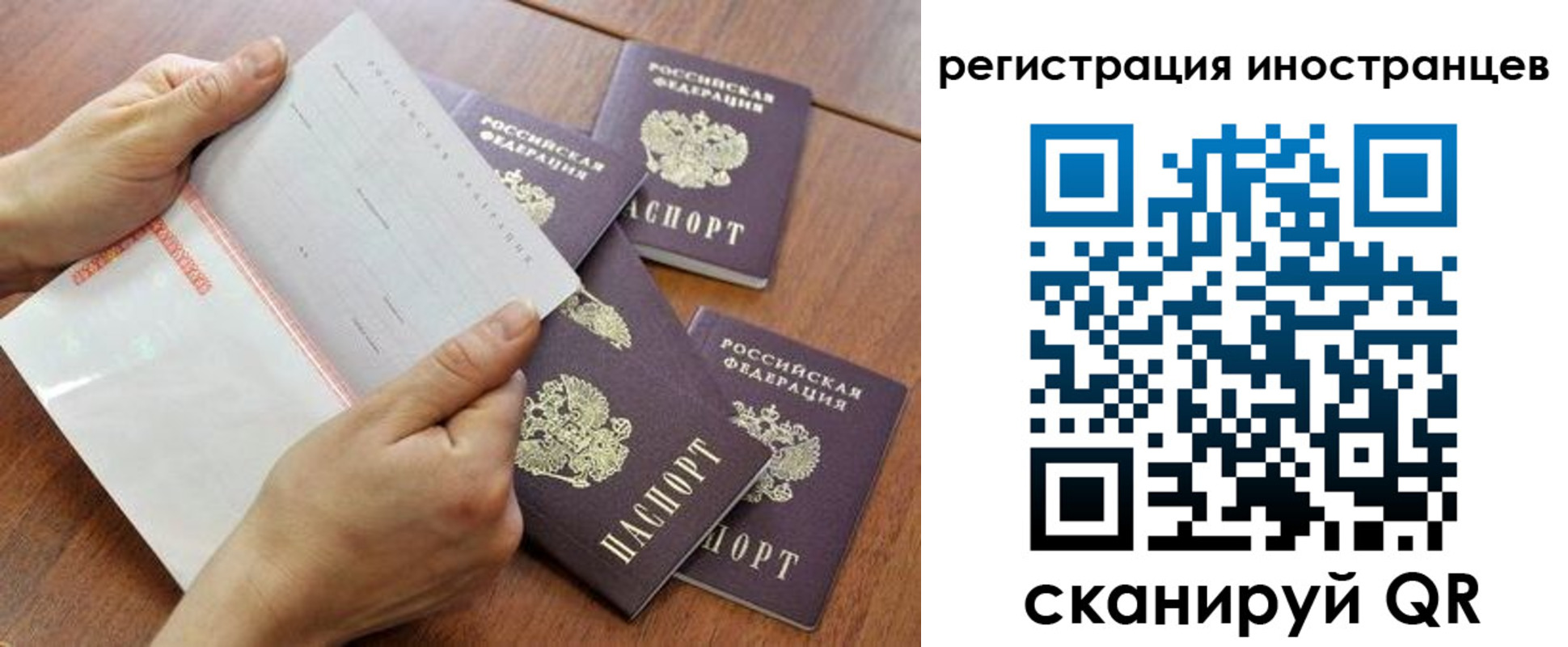 прописка поиск в Черноголовке